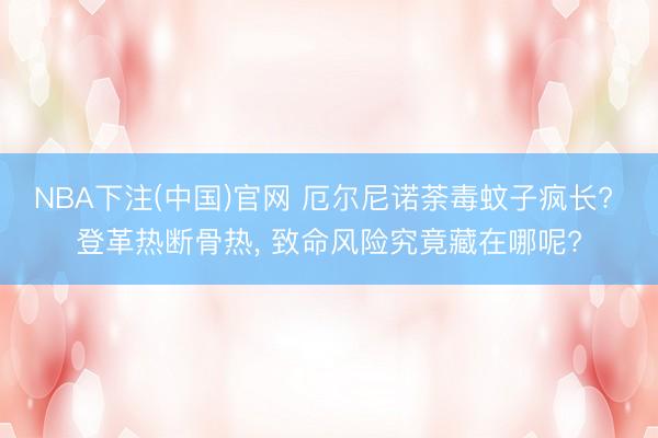 NBA下注(中国)官网 厄尔尼诺荼毒蚊子疯长? 登革热断骨热， 致命风险究竟藏在哪呢?