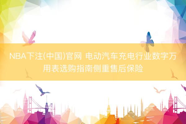 NBA下注(中国)官网 电动汽车充电行业数字万用表选购指南侧重售后保险
