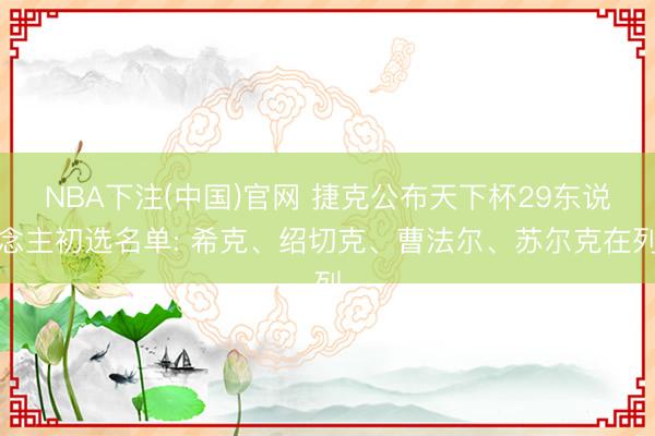 NBA下注(中国)官网 捷克公布天下杯29东说念主初选名单: 希克、绍切克、曹法尔、苏尔克在列
