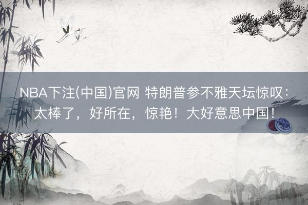 NBA下注(中国)官网 特朗普参不雅天坛惊叹：太棒了，好所在，惊艳！大好意思中国！