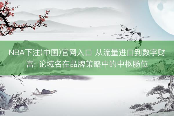 NBA下注(中国)官网入口 从流量进口到数字财富: 论域名在品牌策略中的中枢肠位