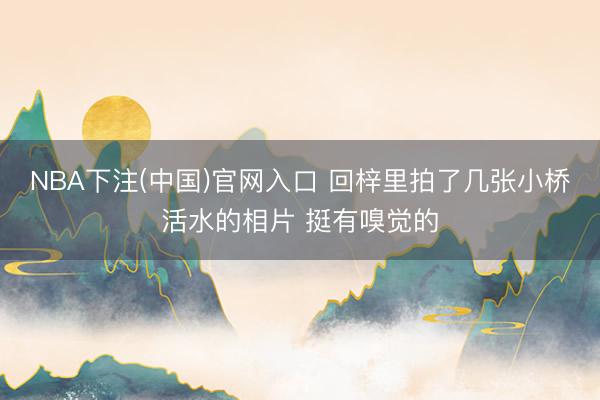 NBA下注(中国)官网入口 回梓里拍了几张小桥活水的相片 挺有嗅觉的