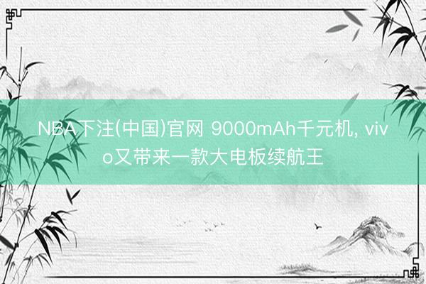 NBA下注(中国)官网 9000mAh千元机， vivo又带来一款大电板续航王