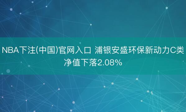 NBA下注(中国)官网入口 浦银安盛环保新动力C类净值下落2.08%