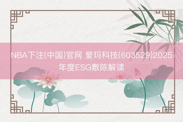NBA下注(中国)官网 爱玛科技(603529)2025年度ESG敷陈解读