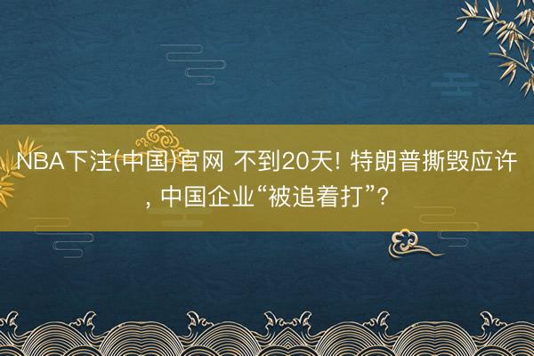 NBA下注(中国)官网 不到20天! 特朗普撕毁应许， 中国企业“被追着打”?